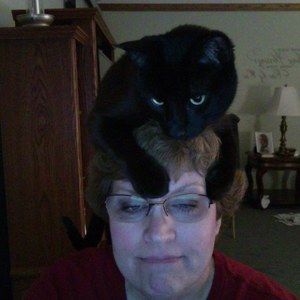 Meet your Posher, Sandy